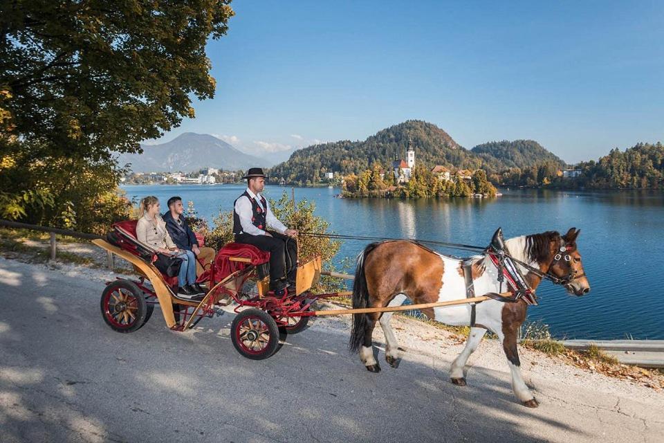Tourist House Capricorn Apartment Bled Bagian luar foto