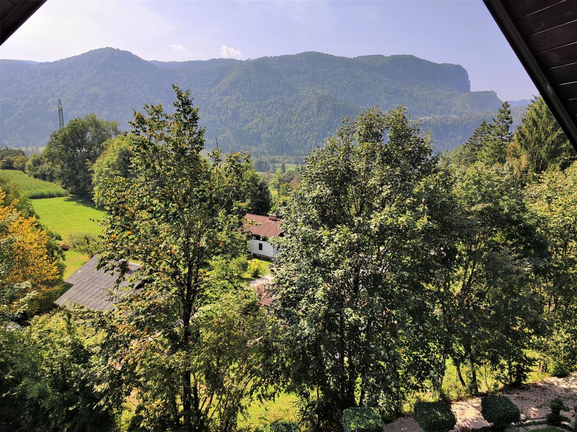 Tourist House Capricorn Apartment Bled Bagian luar foto